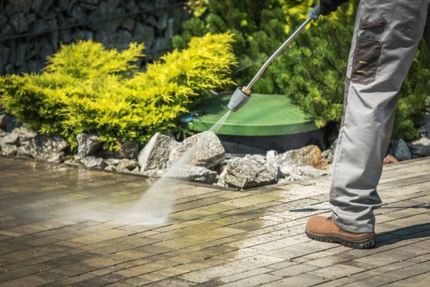  Fruitland, MD Pressure Washing Pros