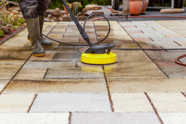 Best Pre-Holiday Cleaning  in Fruitland, MD